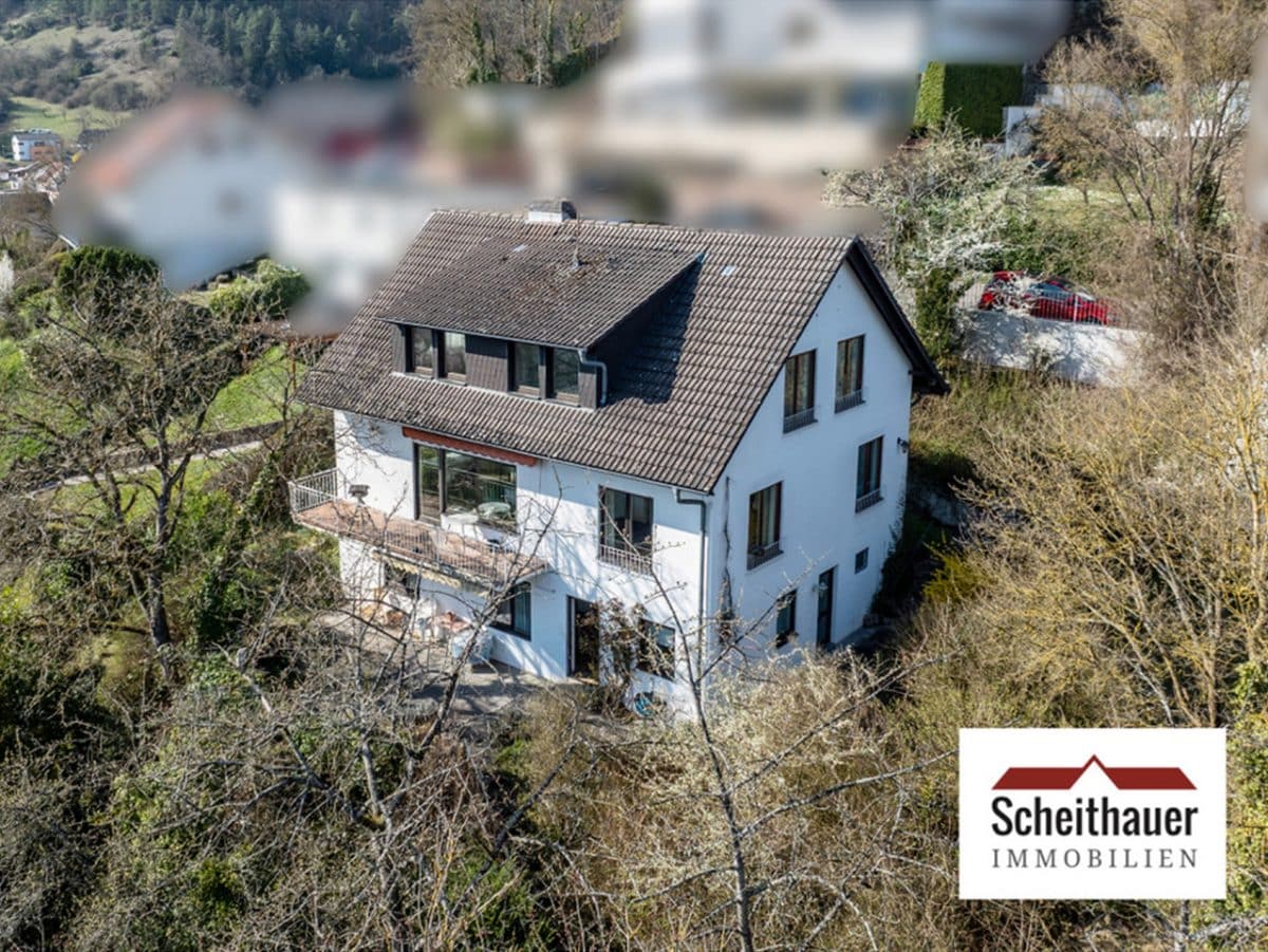 Großzügiges Einfamilienhaus mit ELW + parkähnlichem Grundstück